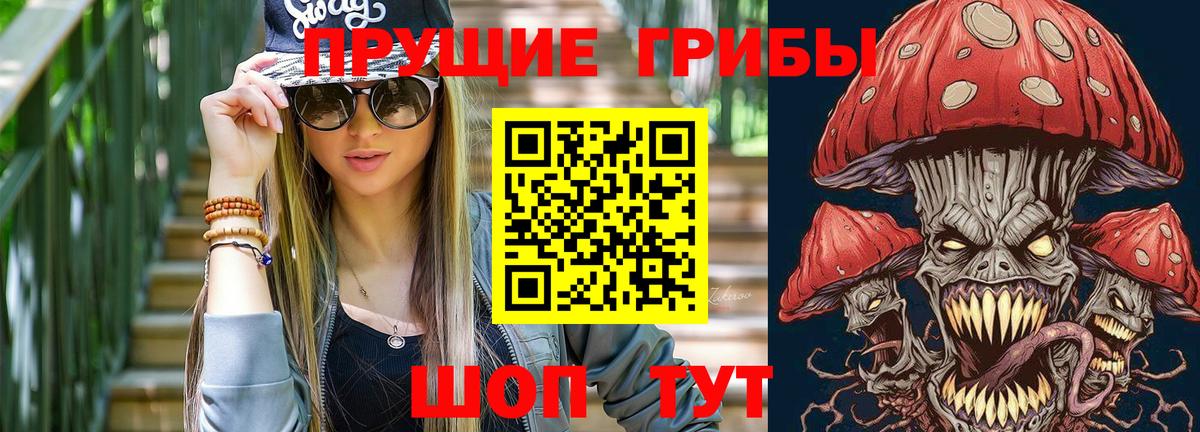 Псилоцибиновые грибы GOLDEN TEACHER Волоколамск