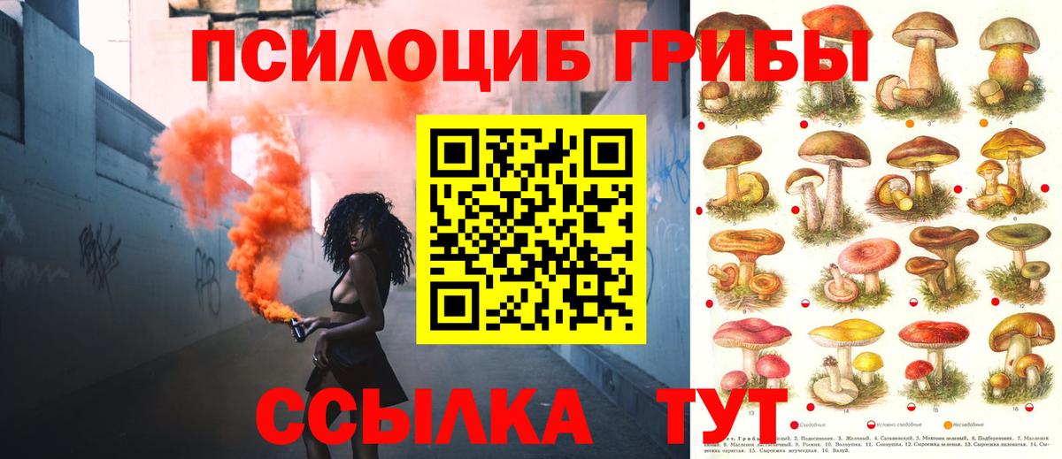 Галлюциногенные грибы мухоморы  Псилоцибиновые грибы Cubensis  Вход с VPN  Волоколамск 