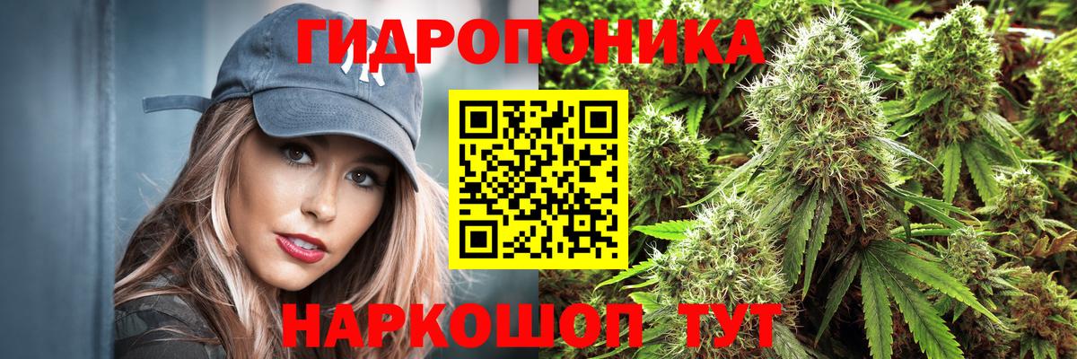 Каннабис LSD WEED  Марихуана тримм  Вход с VPN  Волоколамск  Марихуана Amnesia 